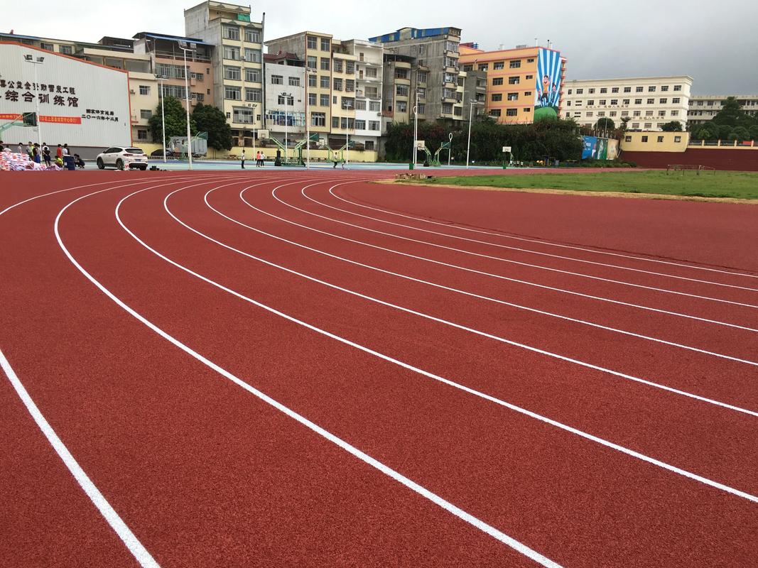 雅安市人造草坪塑胶跑道材料 - 价格